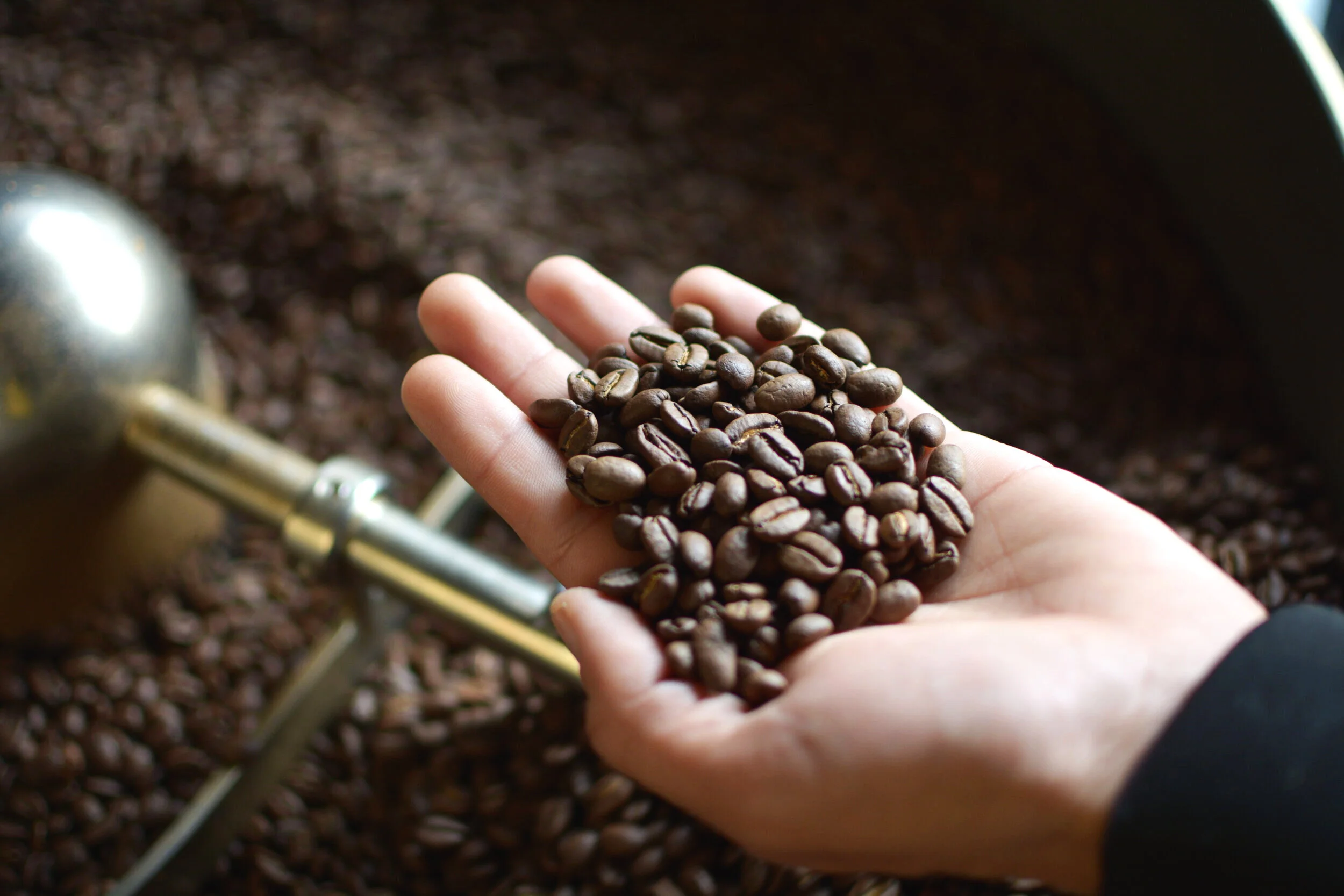 Comprendre la torréfaction