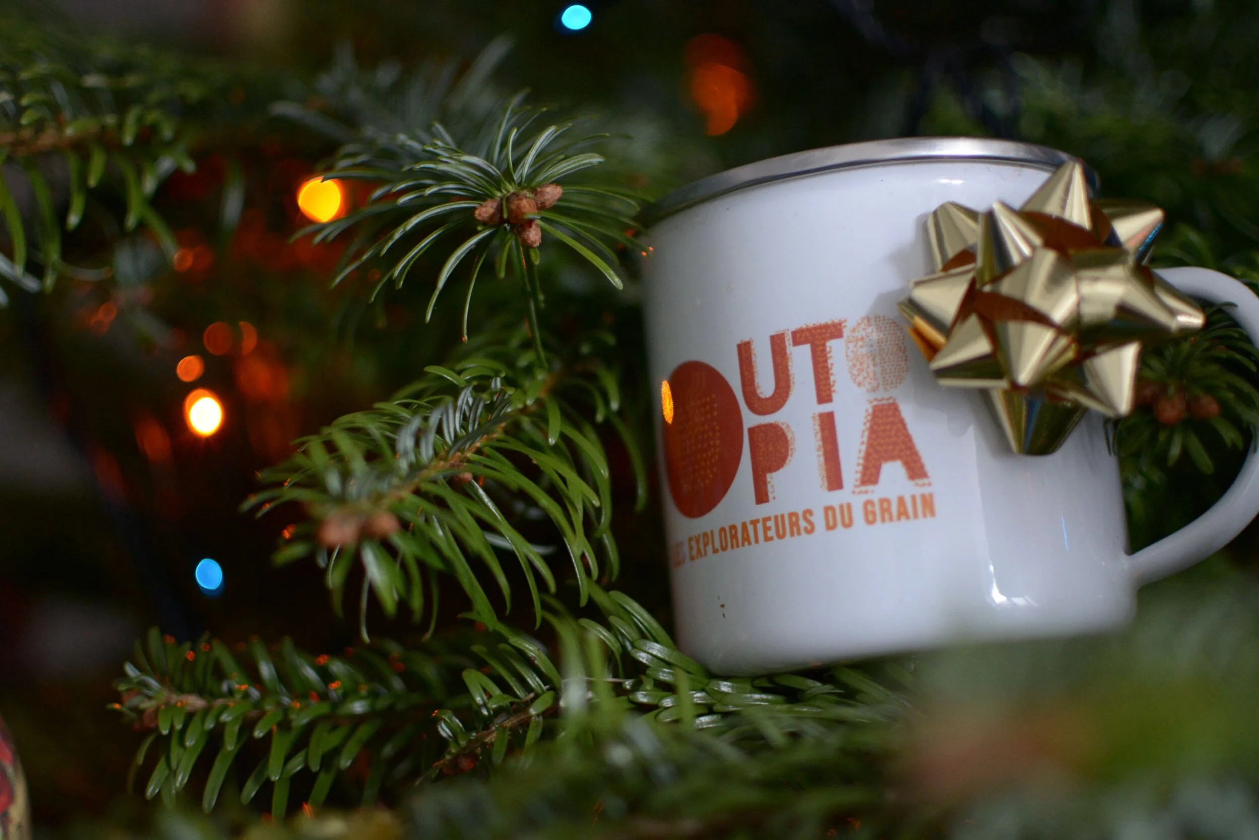 Coffrets cadeau de Noël 2020