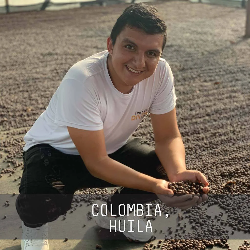 COL.HUILA_2000x_4256ebf5-aa1d-4a45-8e6b-eb4c63364674.jpg