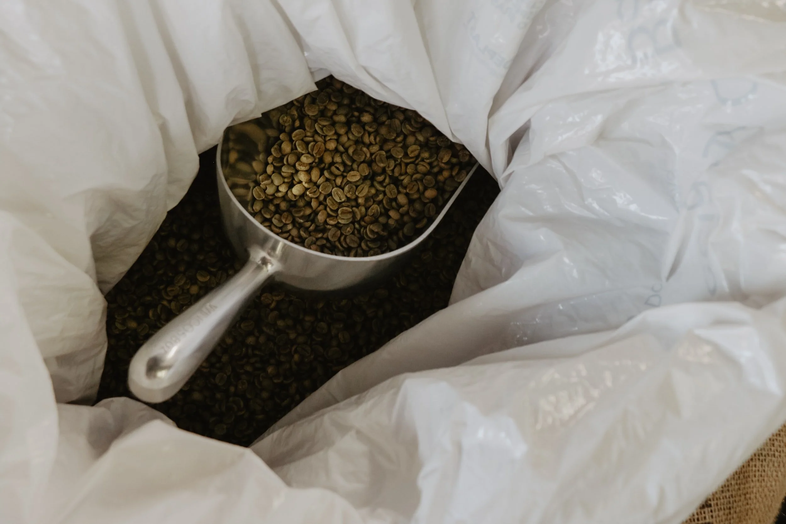grains vert