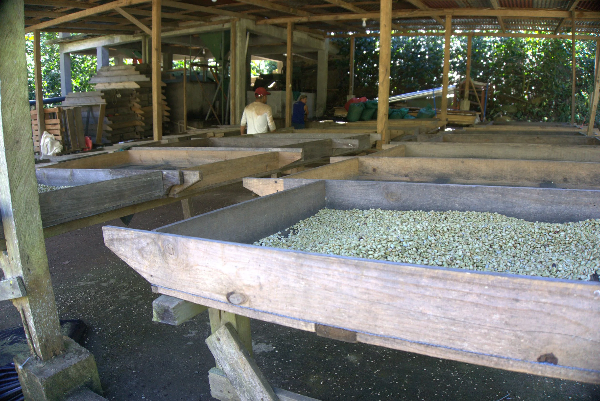 DSC02625.jpg (copie)