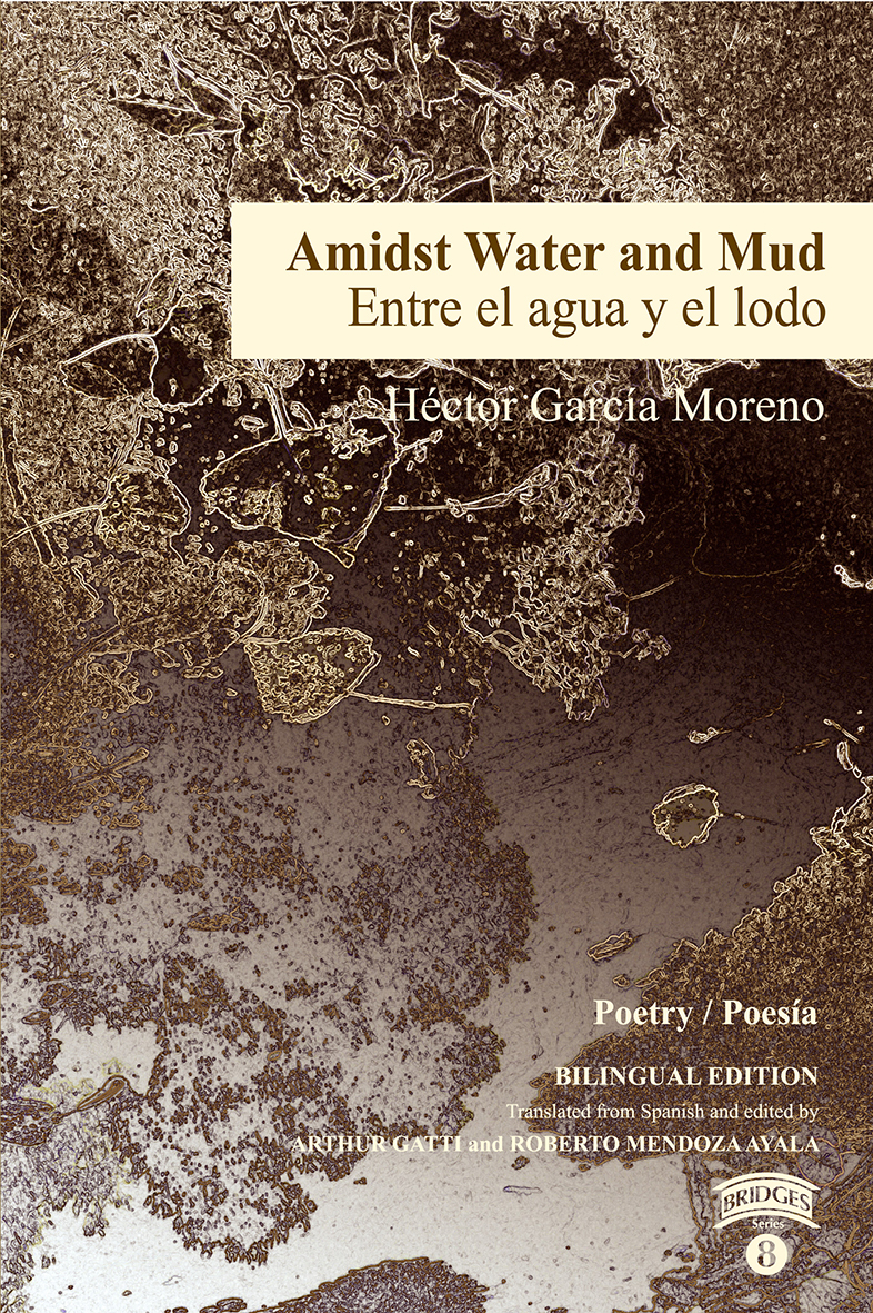 AMIDST WATER AND MUD PORTADITA.jpeg