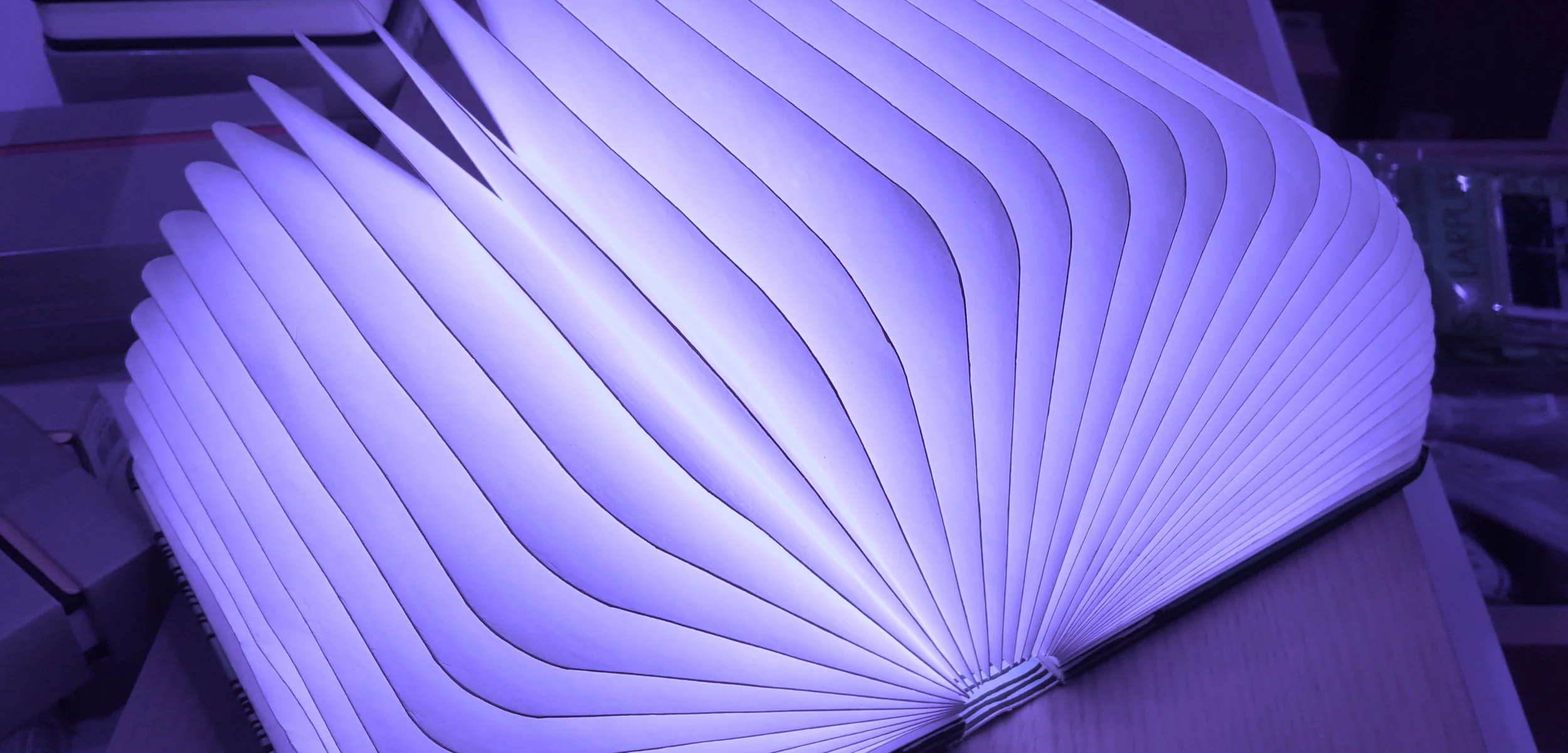 DARKLIGHT SITIO WEB 2.jpeg