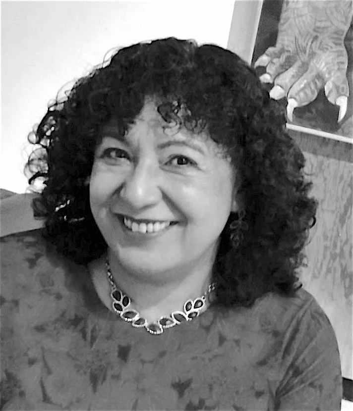 Maribel Rivas Maribel Arreola Rivas — Darklight Publishing LLC
