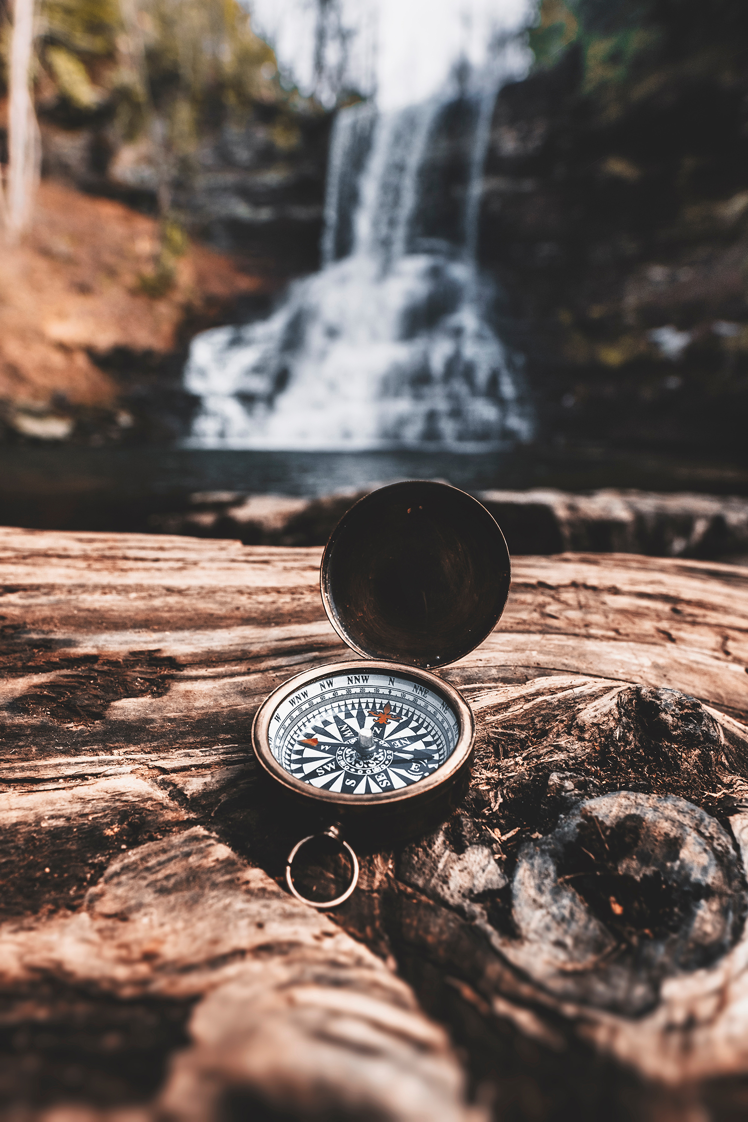 bryan-minear-325881-unsplash_Small.jpg