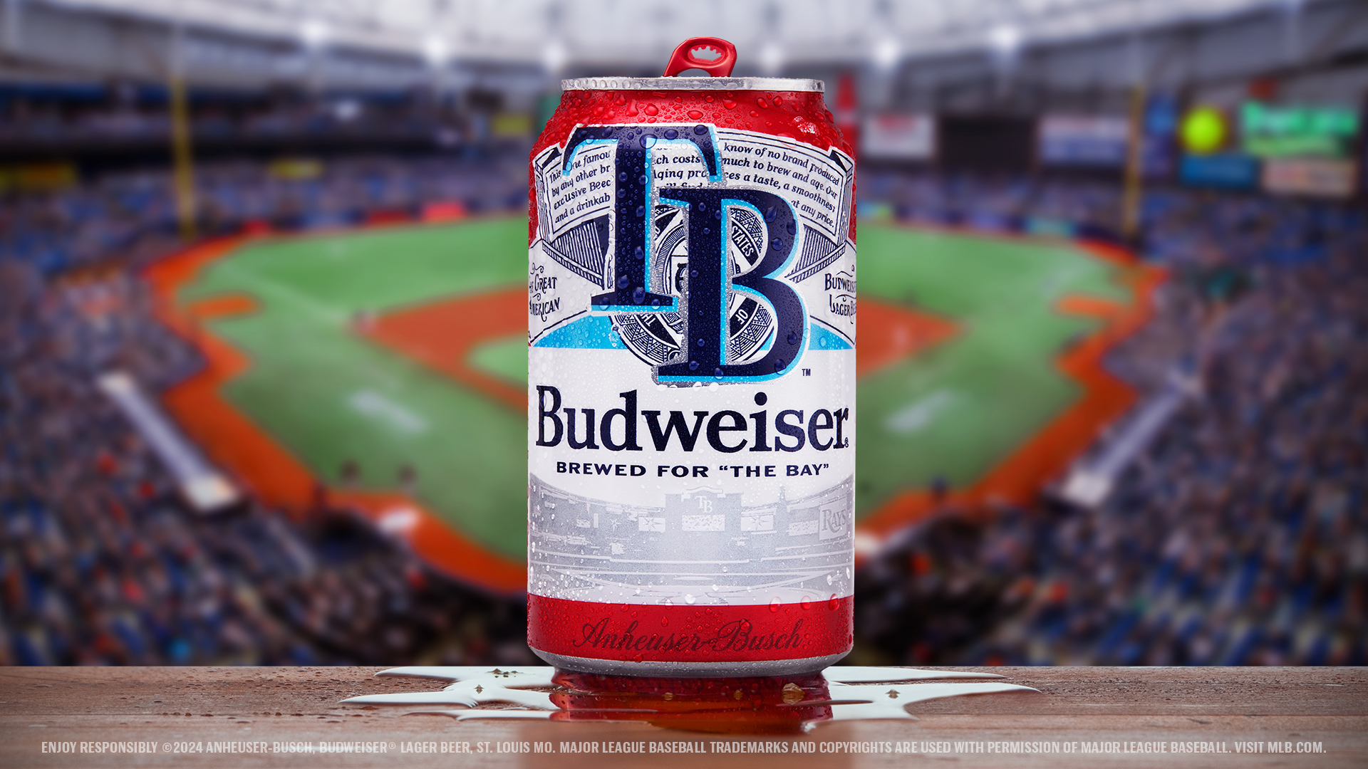BDW24-006_MLB_PR_RAYS_16x9.png