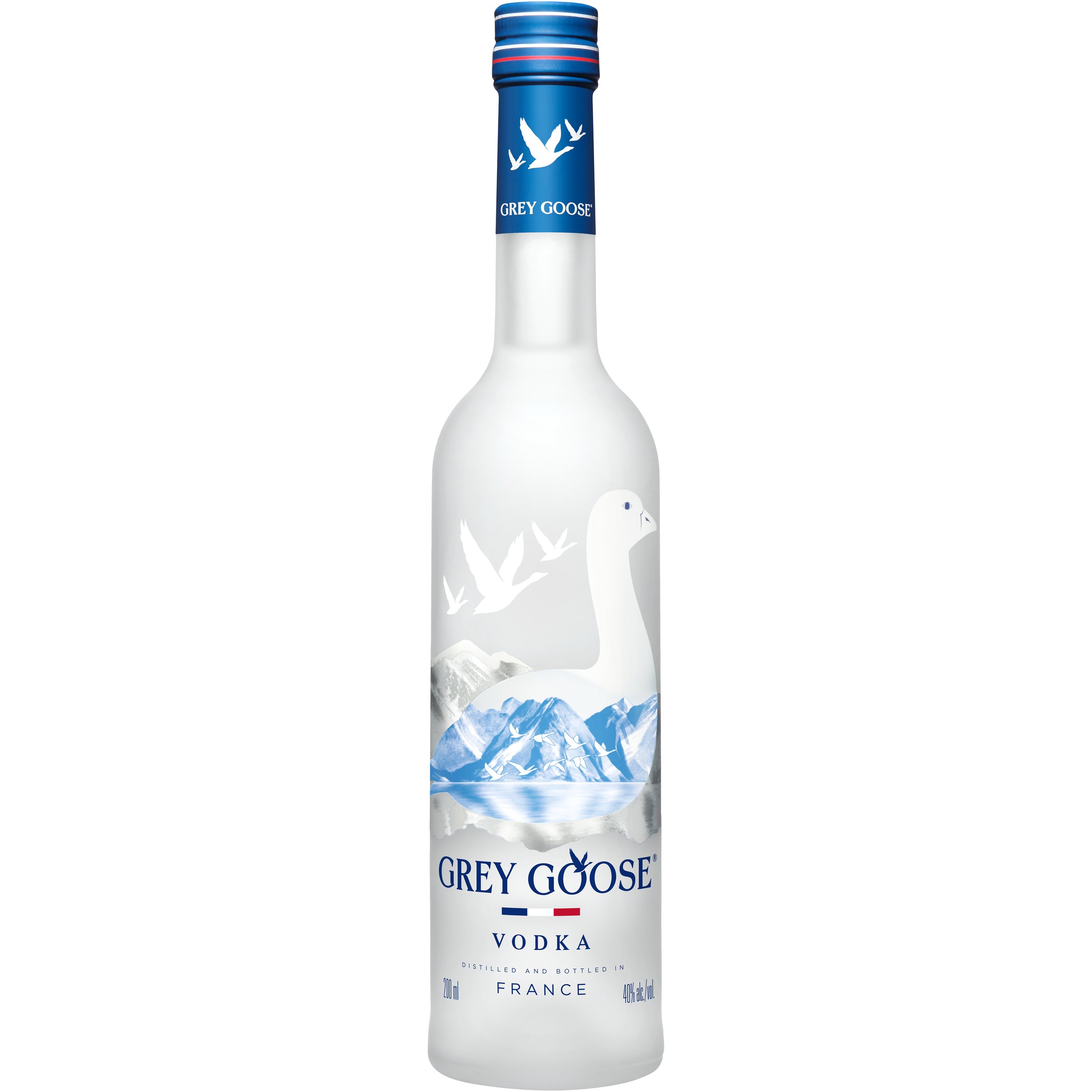 Grey Goose_001.jpg