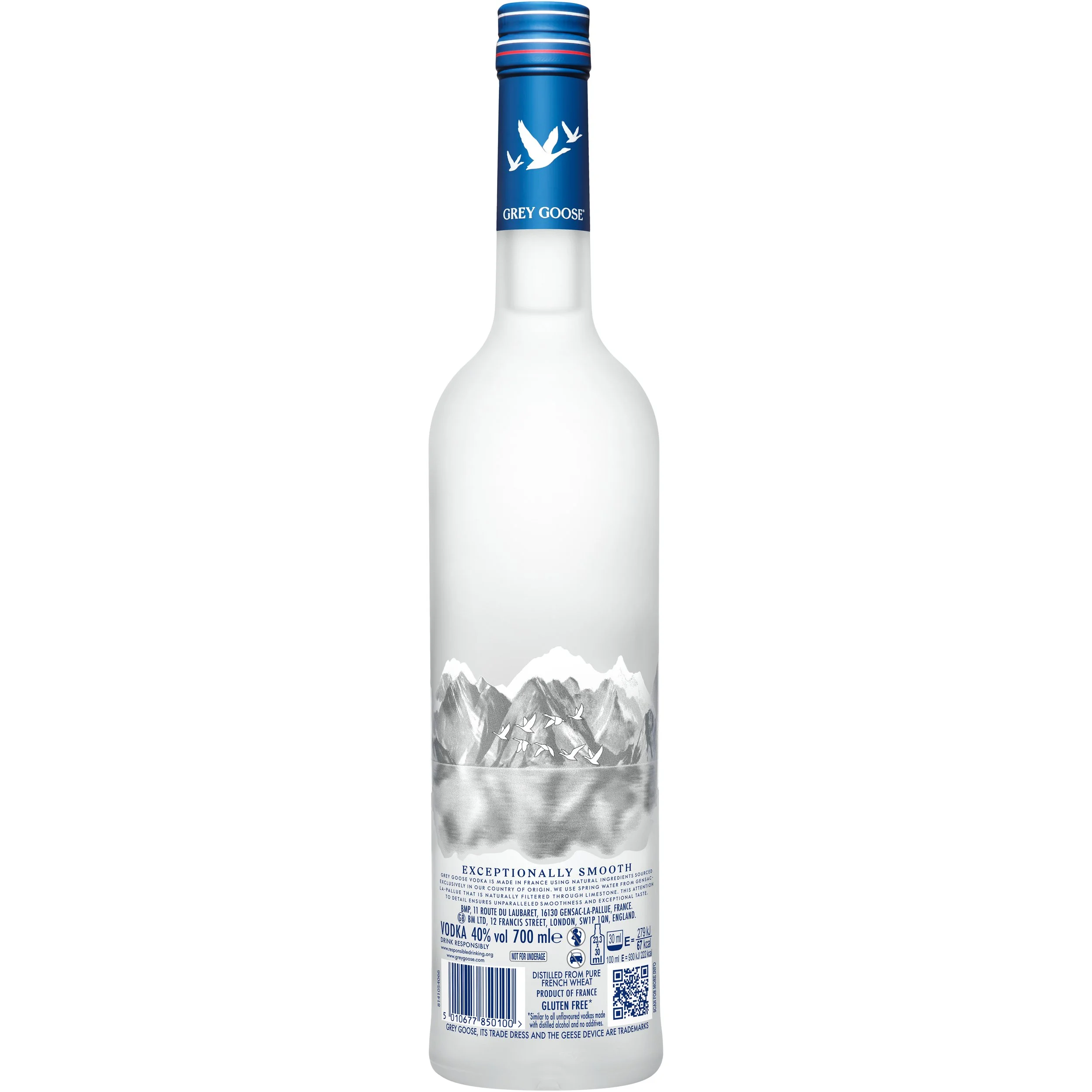 Grey Goose_007.jpg