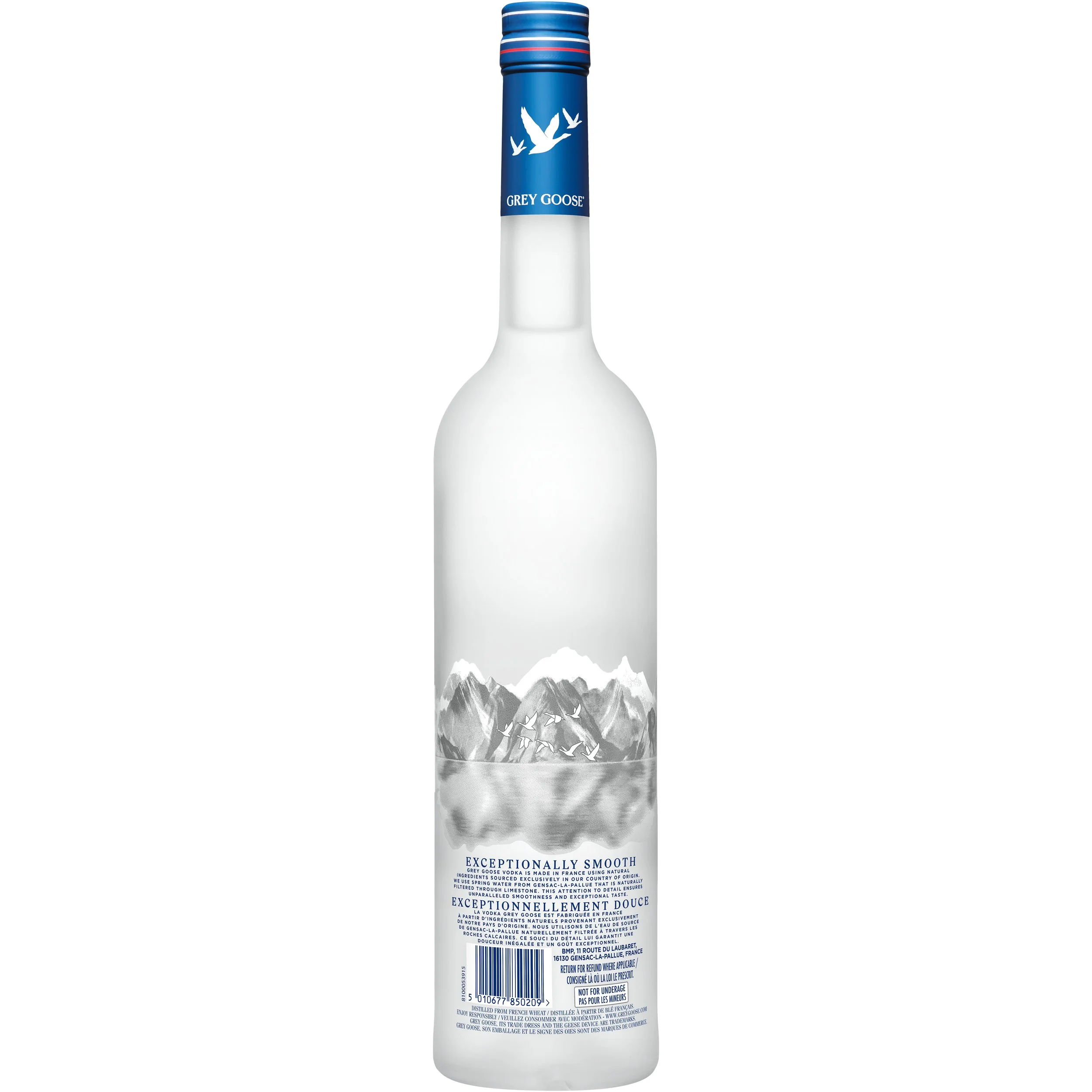 Grey Goose_011.jpg