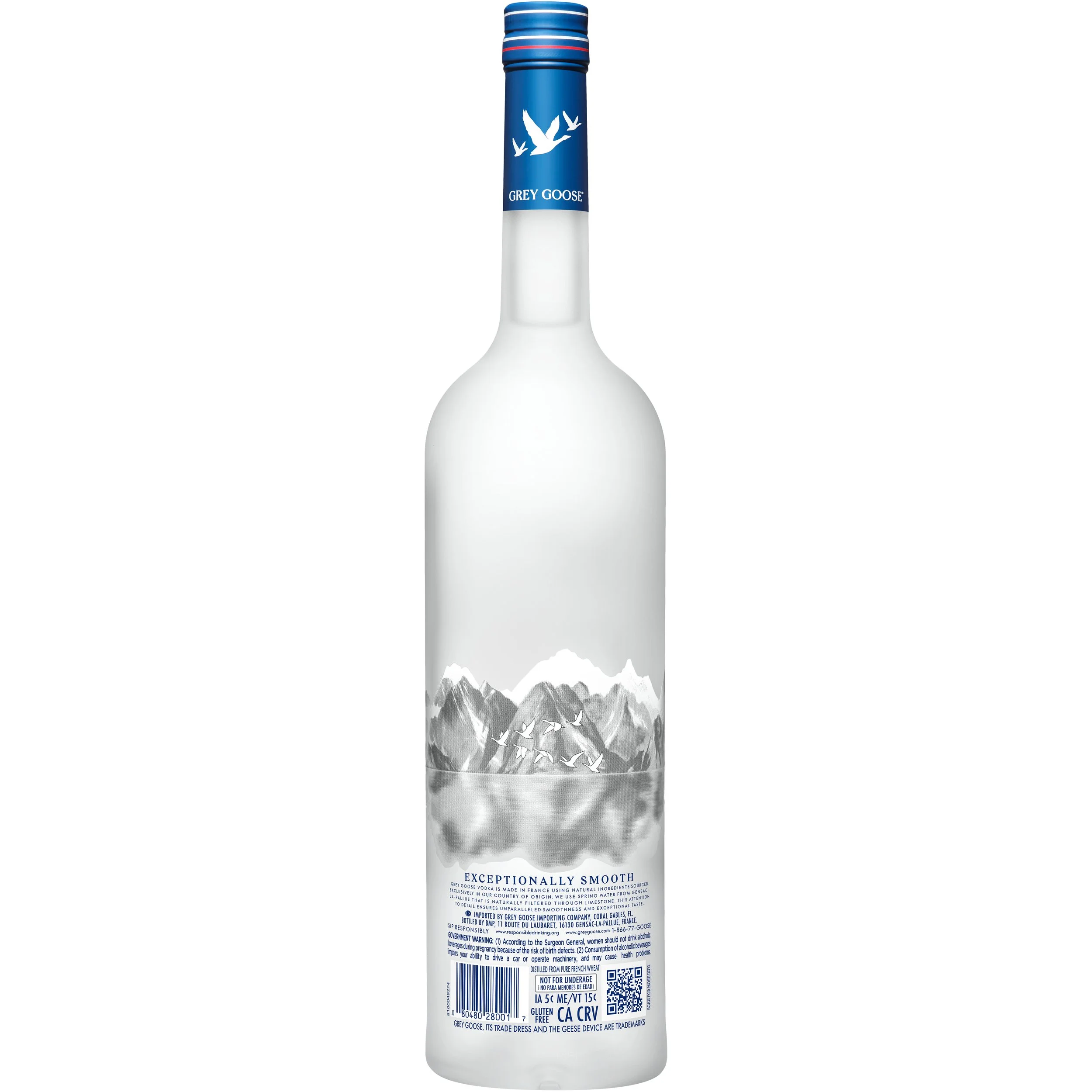 Grey Goose_013.jpg