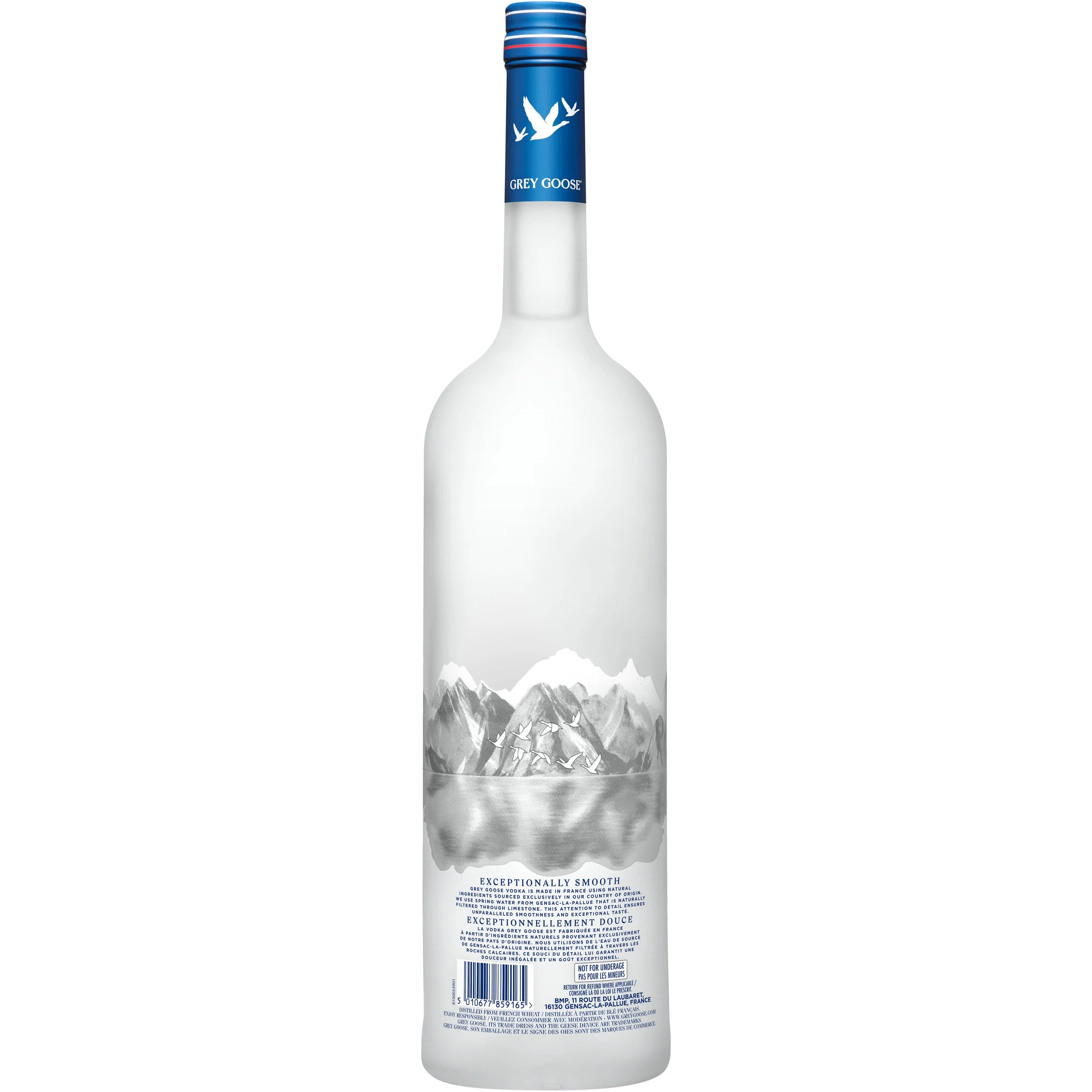 Grey Goose_014.jpg