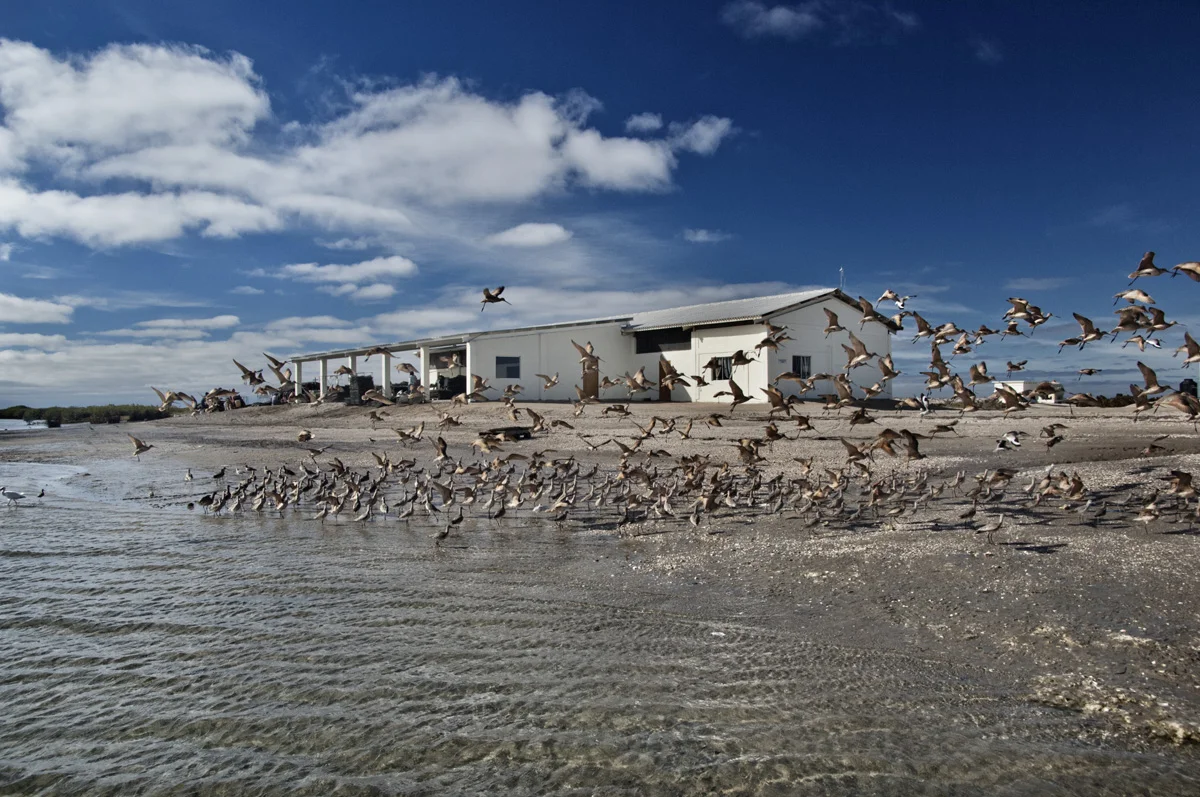 Mainpage image