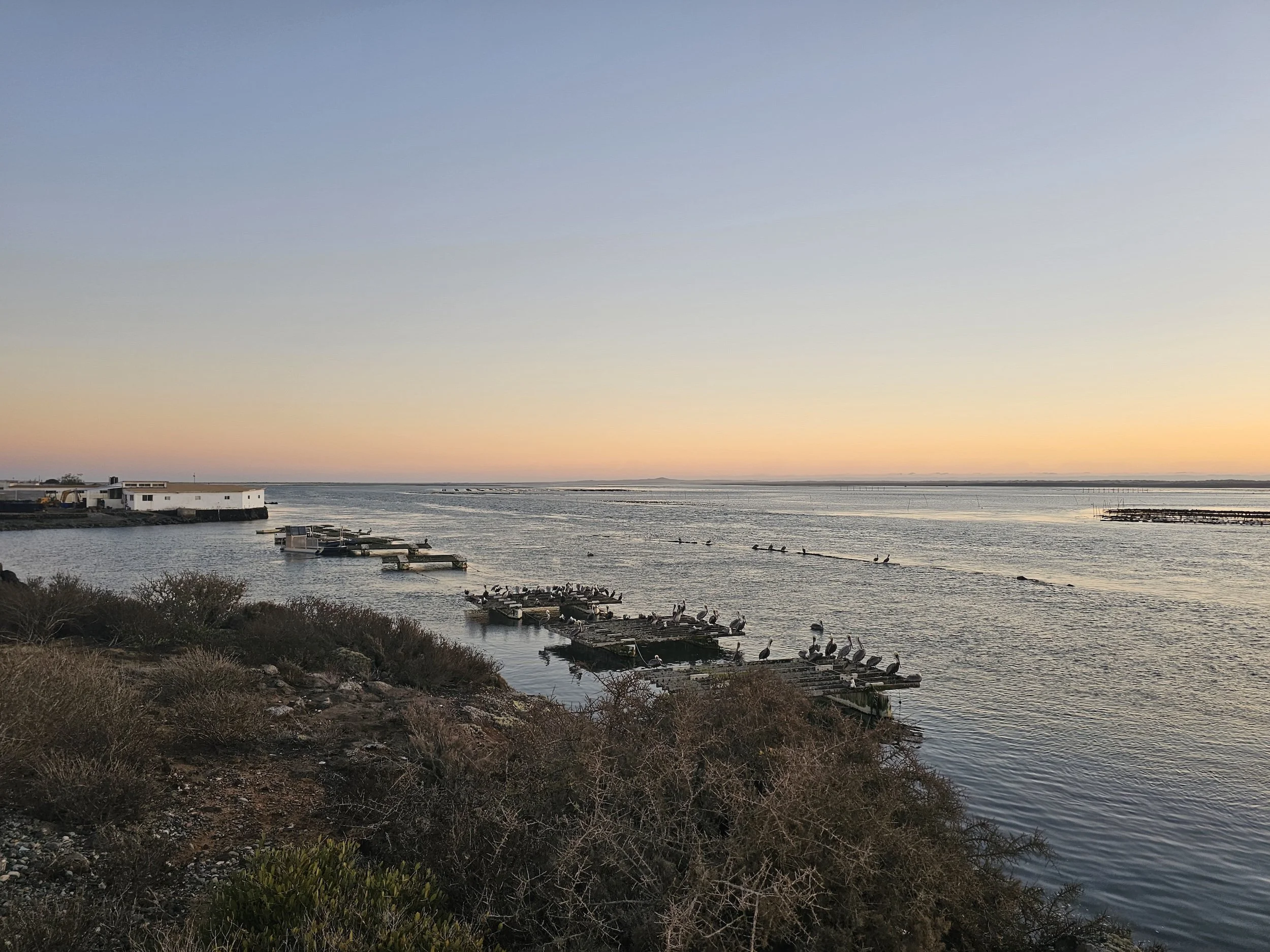 Introducing Agromarinos