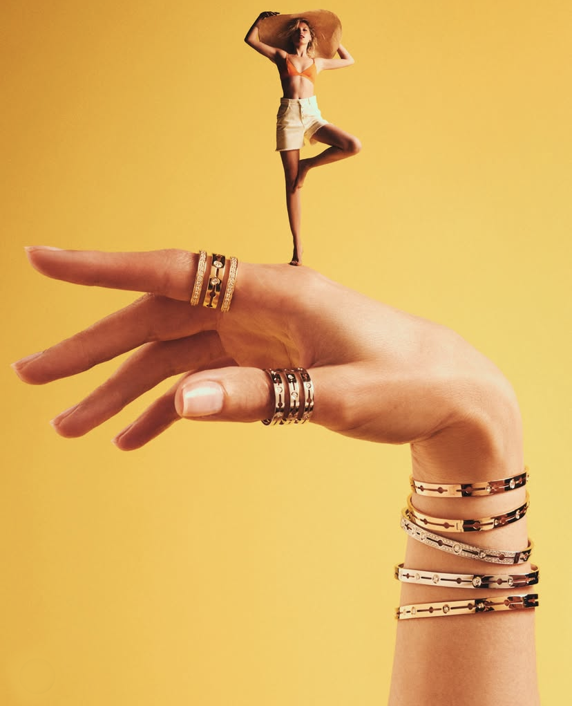 Dinh Van Campaign