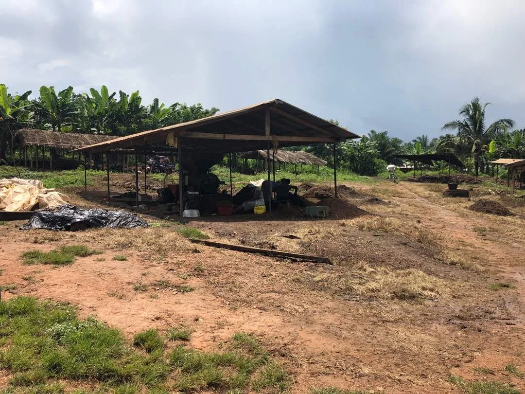 Cote Ivoire: 2020 Elections Political Risk and the Agricultural Sector