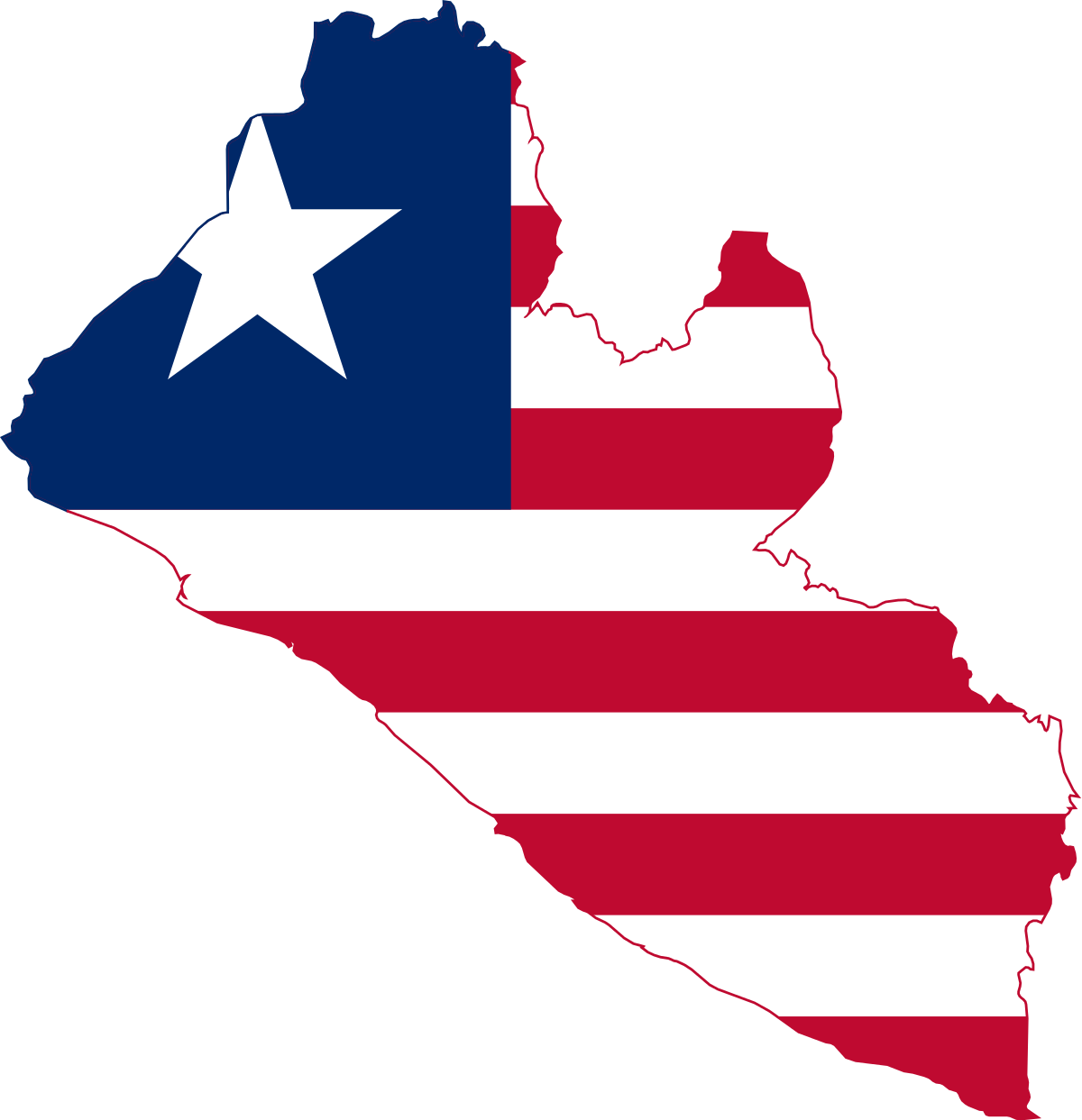 Who's Who: Liberia 2023 Elections