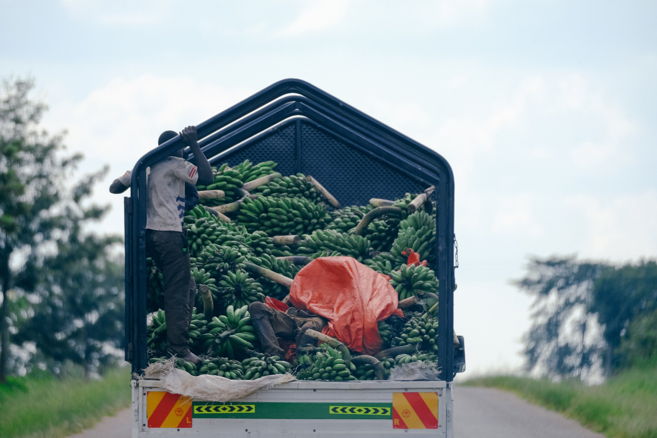 It's All Gone Bananas (Well, Almost): The Impact of the Delayed UK- Ghana Trade Deal