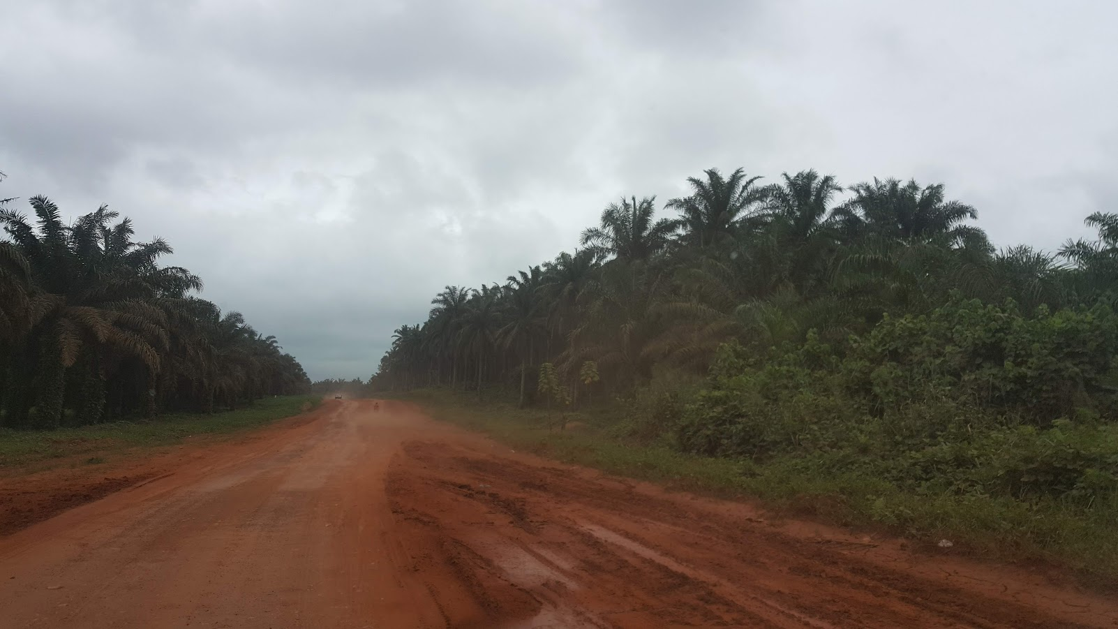 Ghana's promise - Independence Day reflections