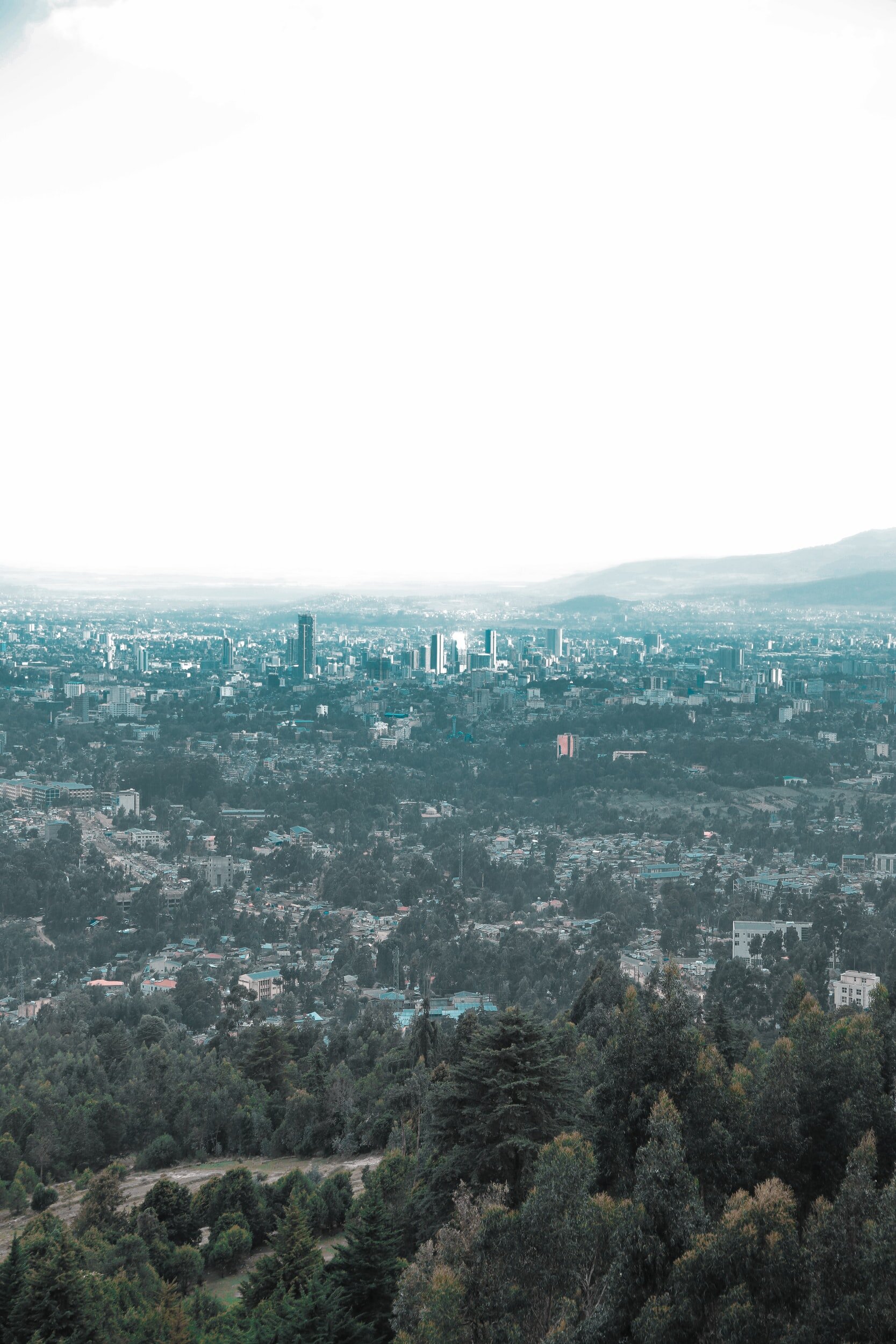 Ethiopia's FDI policy produces telecommunications and mining gains