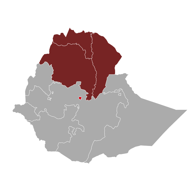 Client Update (Ethiopia) - Threat to the capital