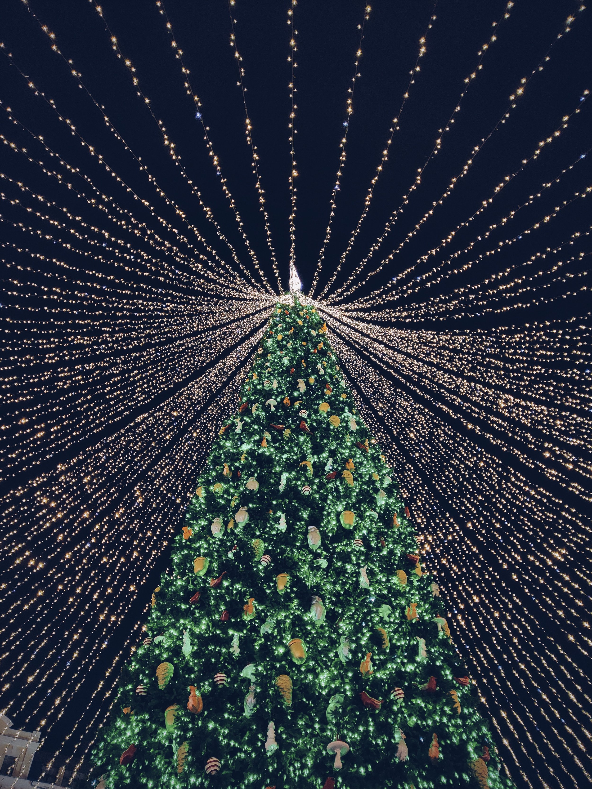 Lifestyle, Arts &amp; Culture: Christmas Cheer!