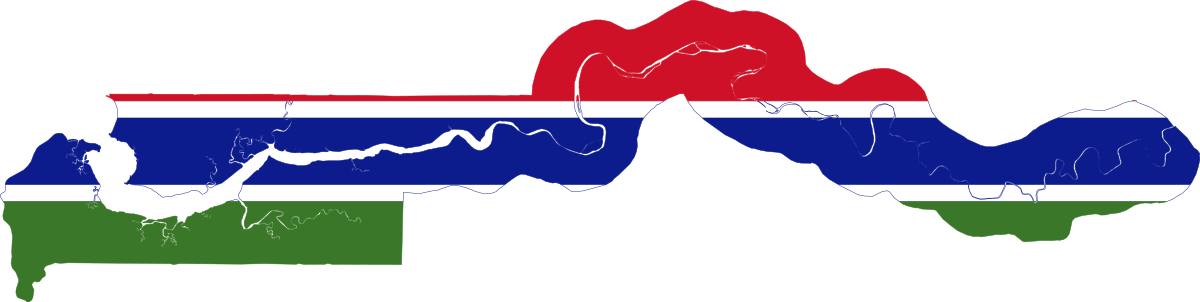 Gambia legislative election results are in, and the scene is set