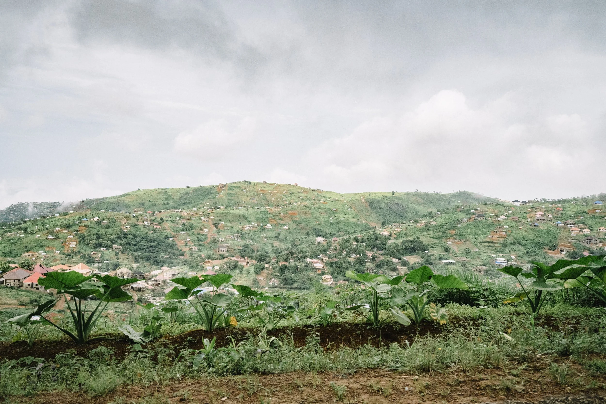 Sierra Leone’s new census figures favour ruling party ahead of 2023 elections