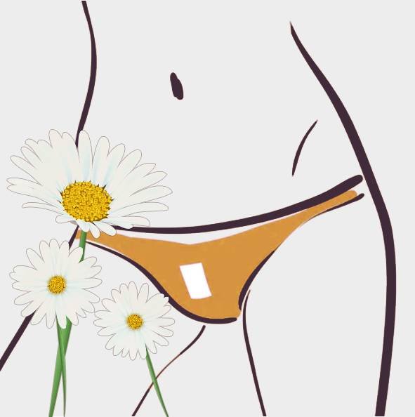 Daisy