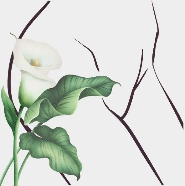 Lily