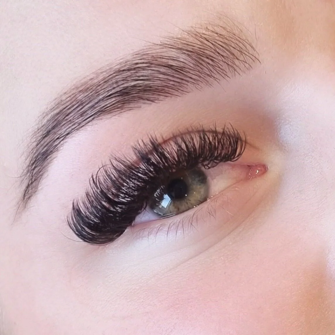 Lashes & Brows