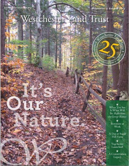 WLT.cover.fall.jpg