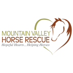 mountain valley horse rescue engraving