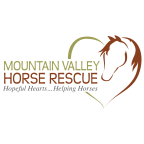 mountain valley horse rescue elevated engravings (Copy)