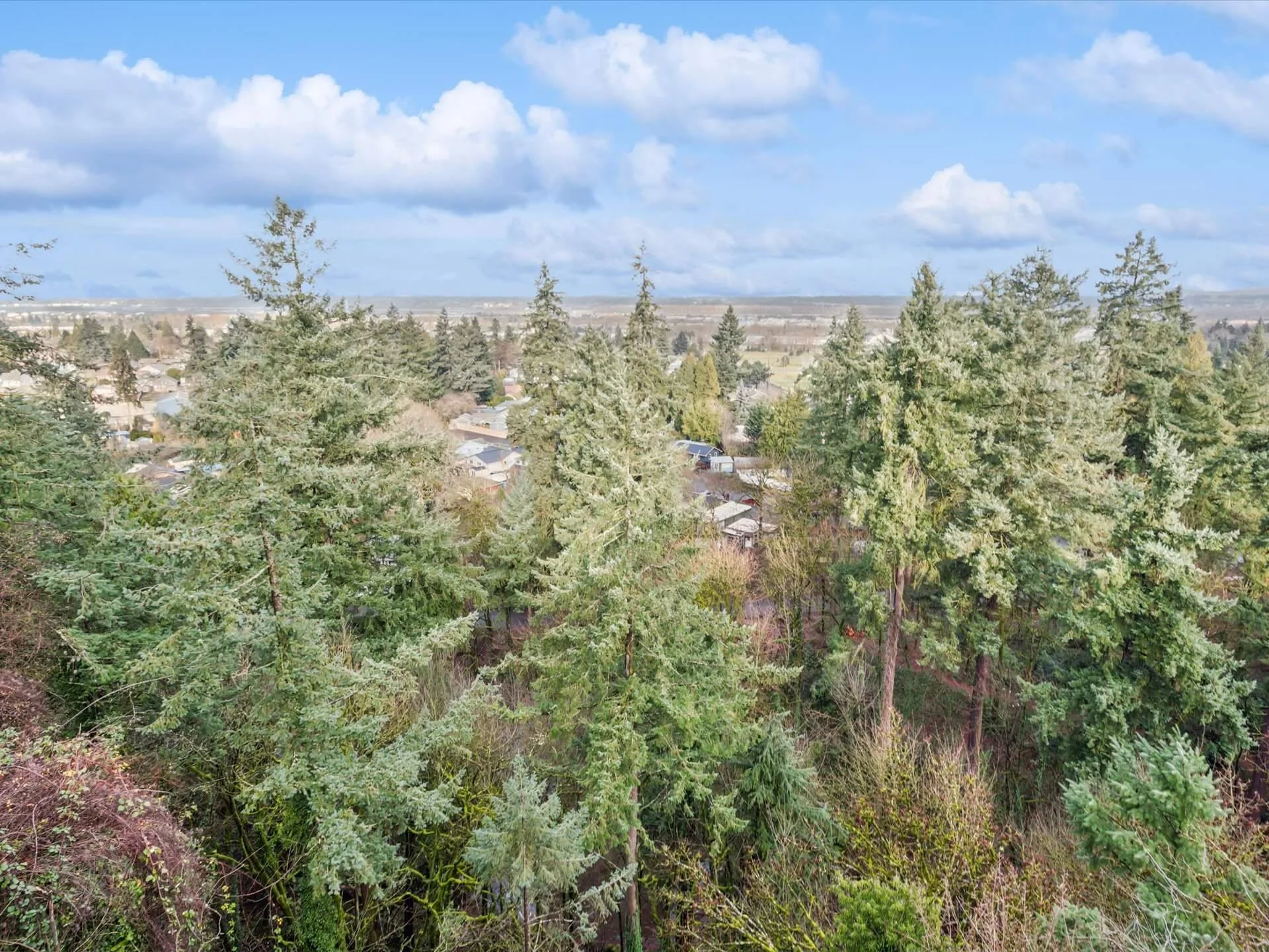 59-NE Cliff St - Portland - 281.jpg