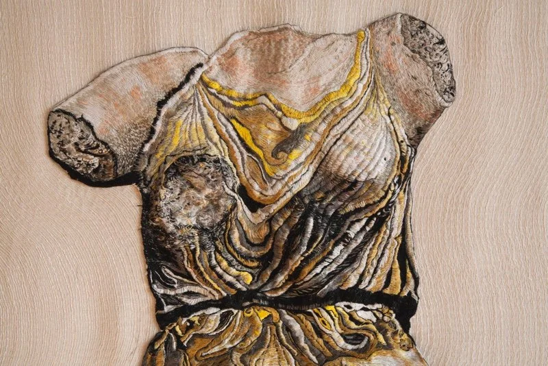 Detail: Iris in Color