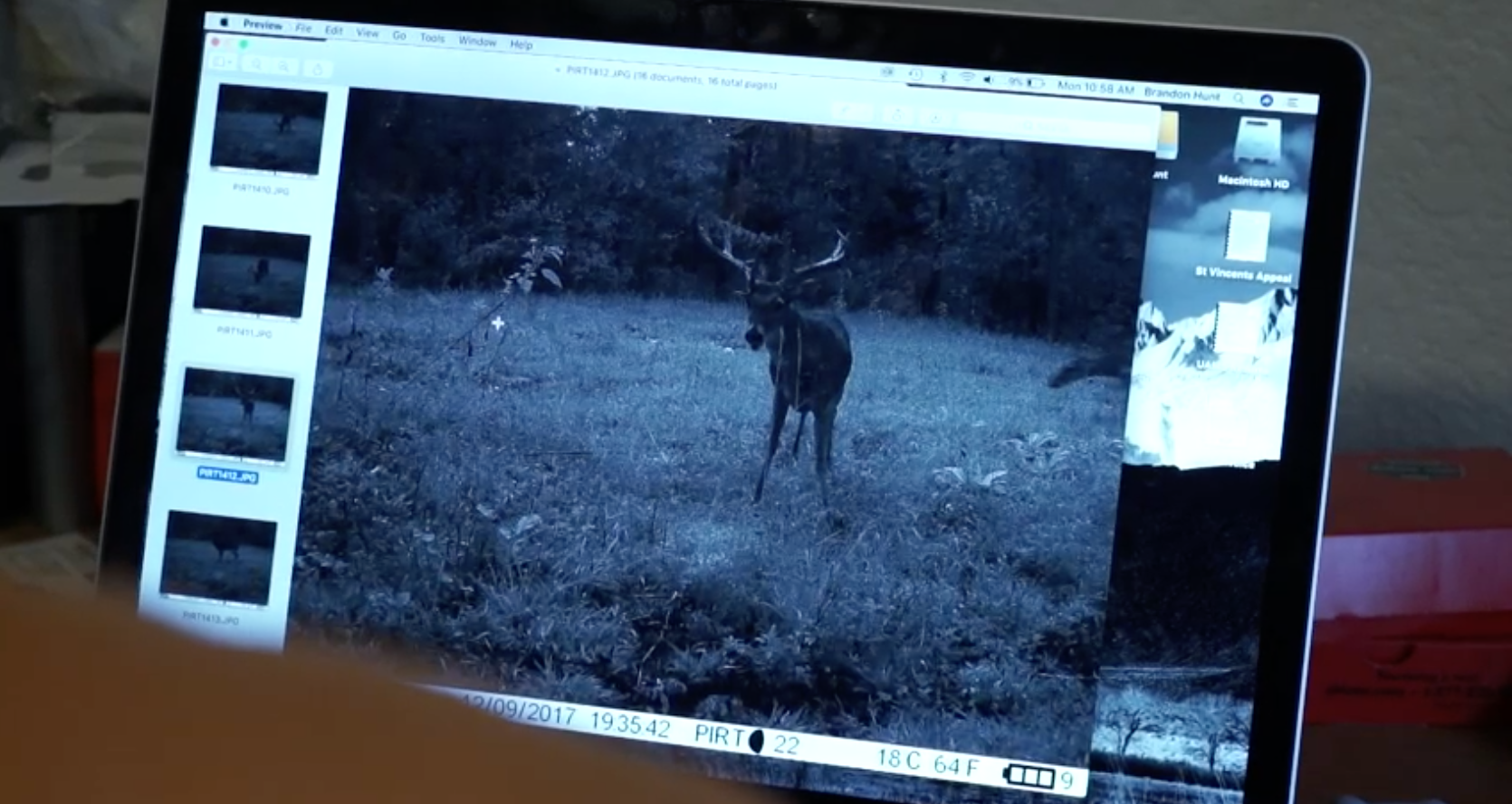 big-arkansas-stag-caught-on-camera-in-daylight-on-struttinbuck-streaming-on-waypoint-shot-2