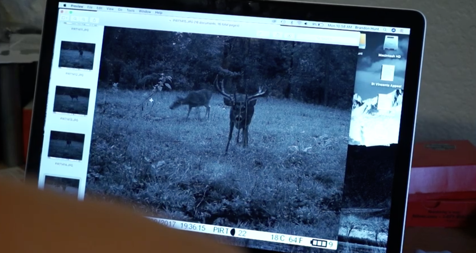 big-arkansas-stag-caught-on-camera-in-daylight-on-struttinbuck-streaming-on-waypoint-shot-3