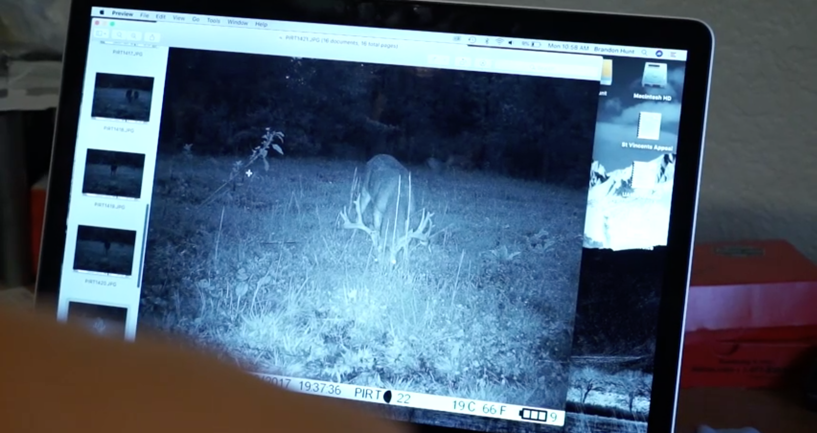 big-arkansas-stag-caught-on-camera-in-daylight-on-struttinbuck-streaming-on-waypoint-shot-5