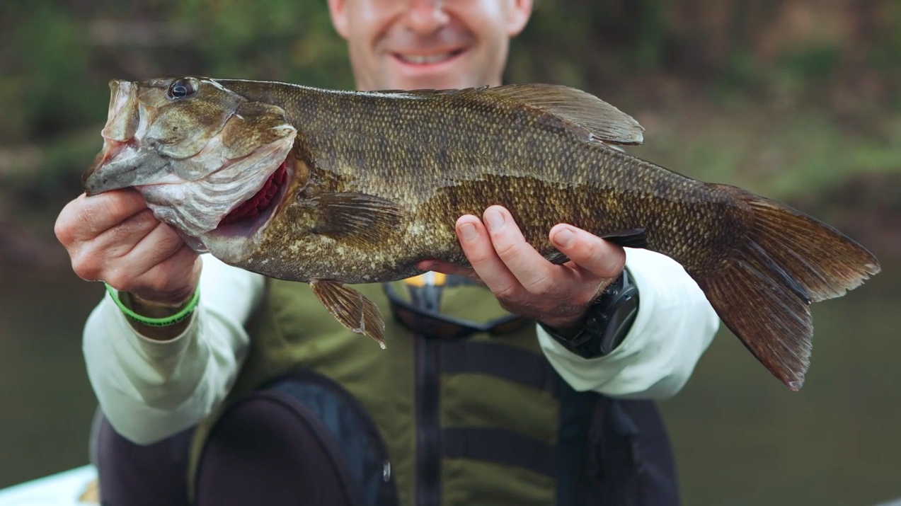 Scott_Ellison_FLW_Fishing_Catches_Monster_18in_Smallmouth_Bass.png