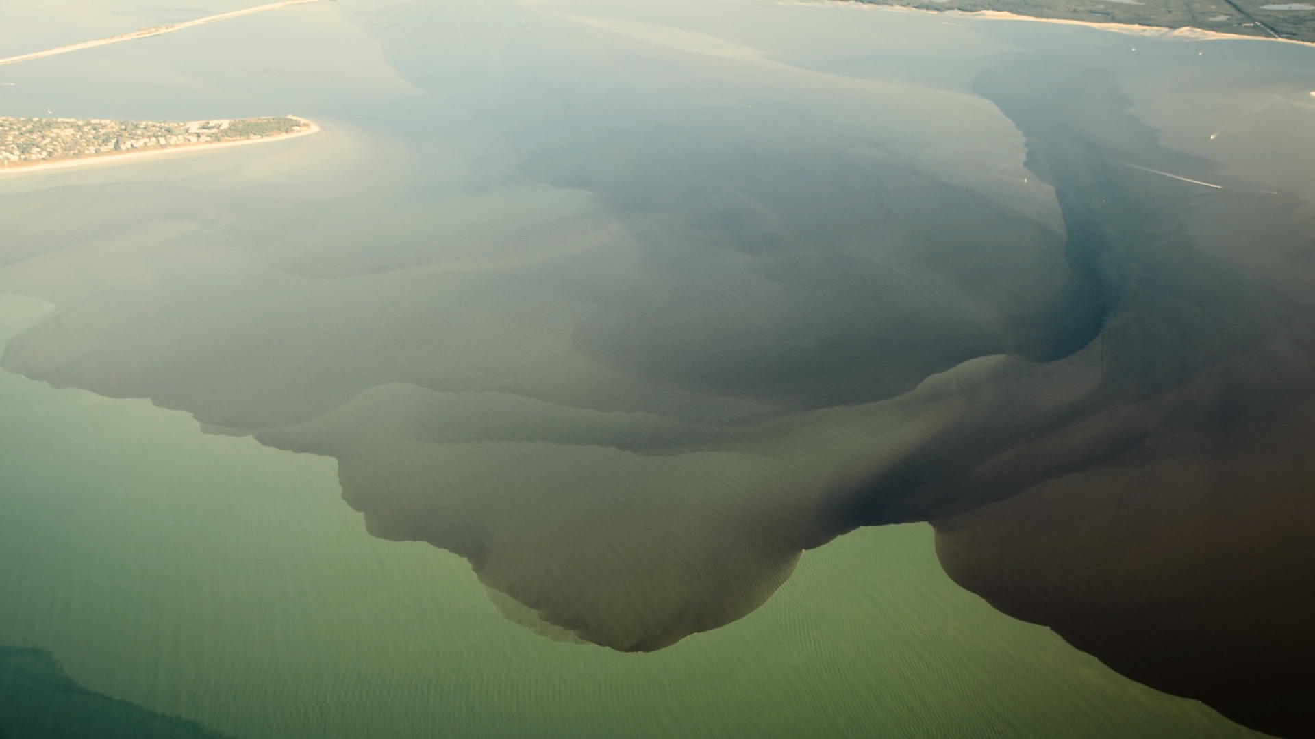 Now or Neverglades | Everglades in Crisis