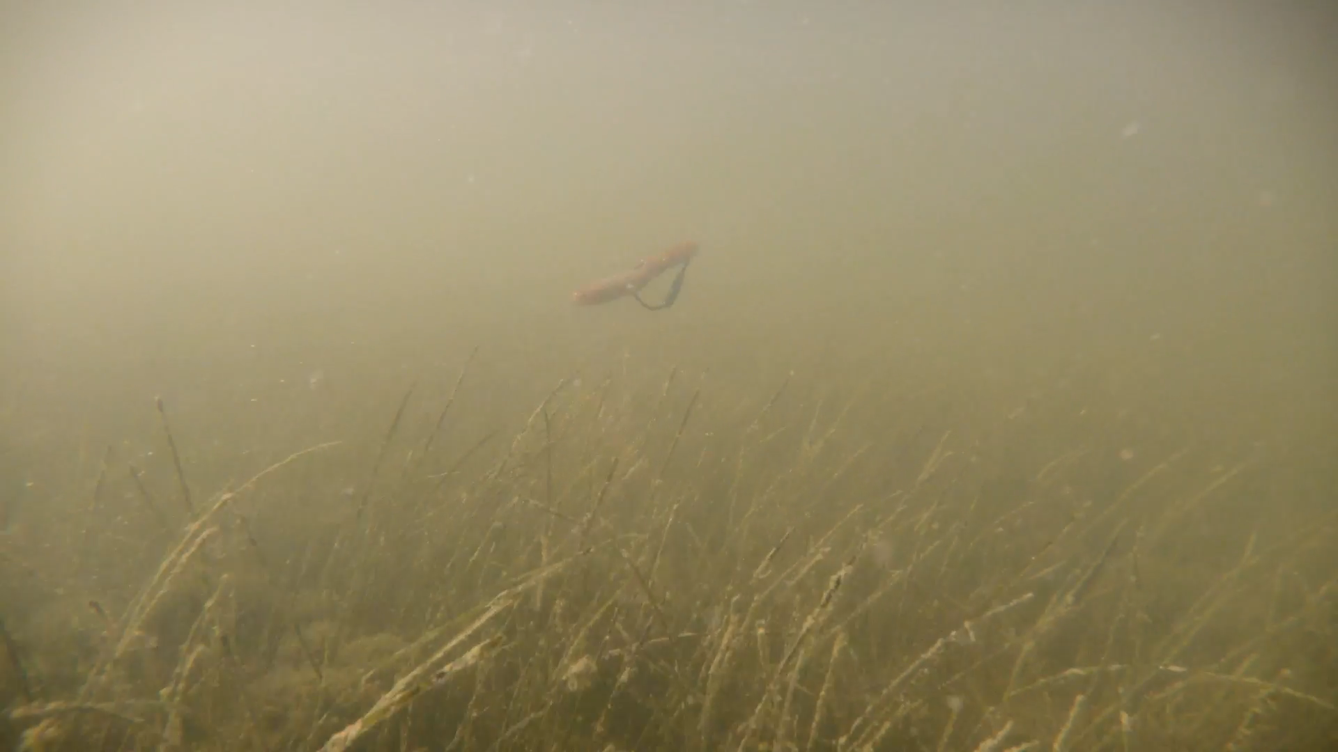 3 Great Artificial Baits To Catch Snook, Redfish, And More | WAYPOINT TV