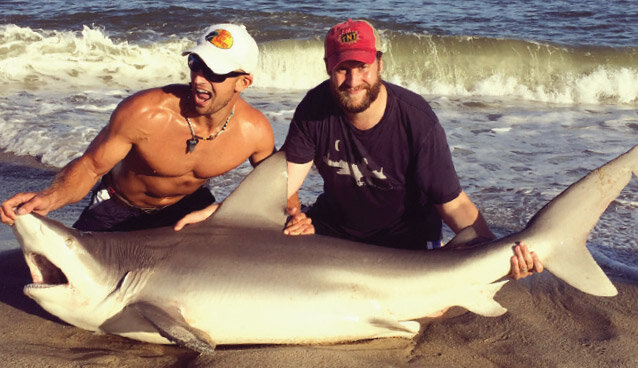 How and Why to Catch Sandbar Sharks From the Beach