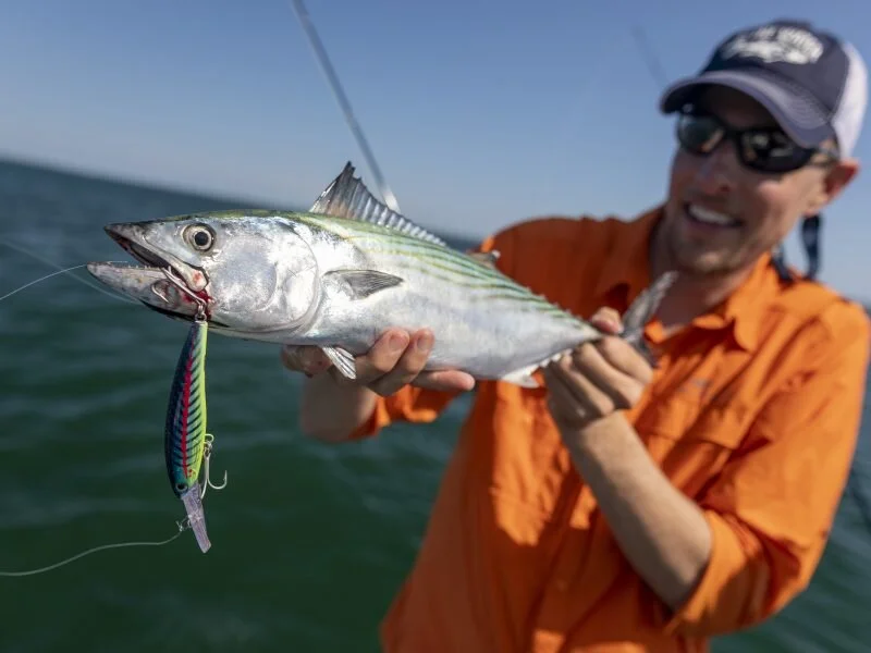 bonito lures