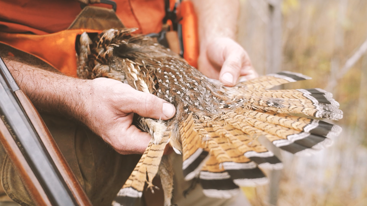 Project-Upland-camp-thunderbird-birdhunting-upland-fowl-birddog-watch-films-waypoint-tv-2017-ep1.PNG