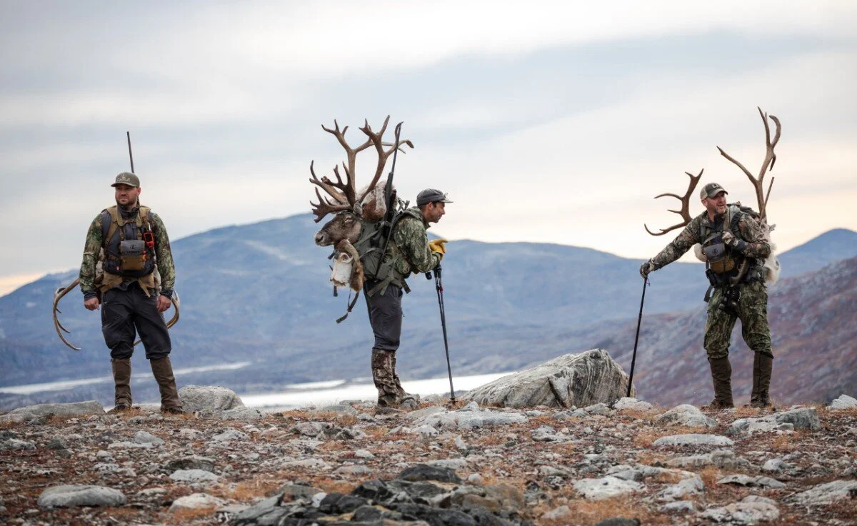 71° North - Hunting Muskox and Caribou Along Greenland's Rugged Coast