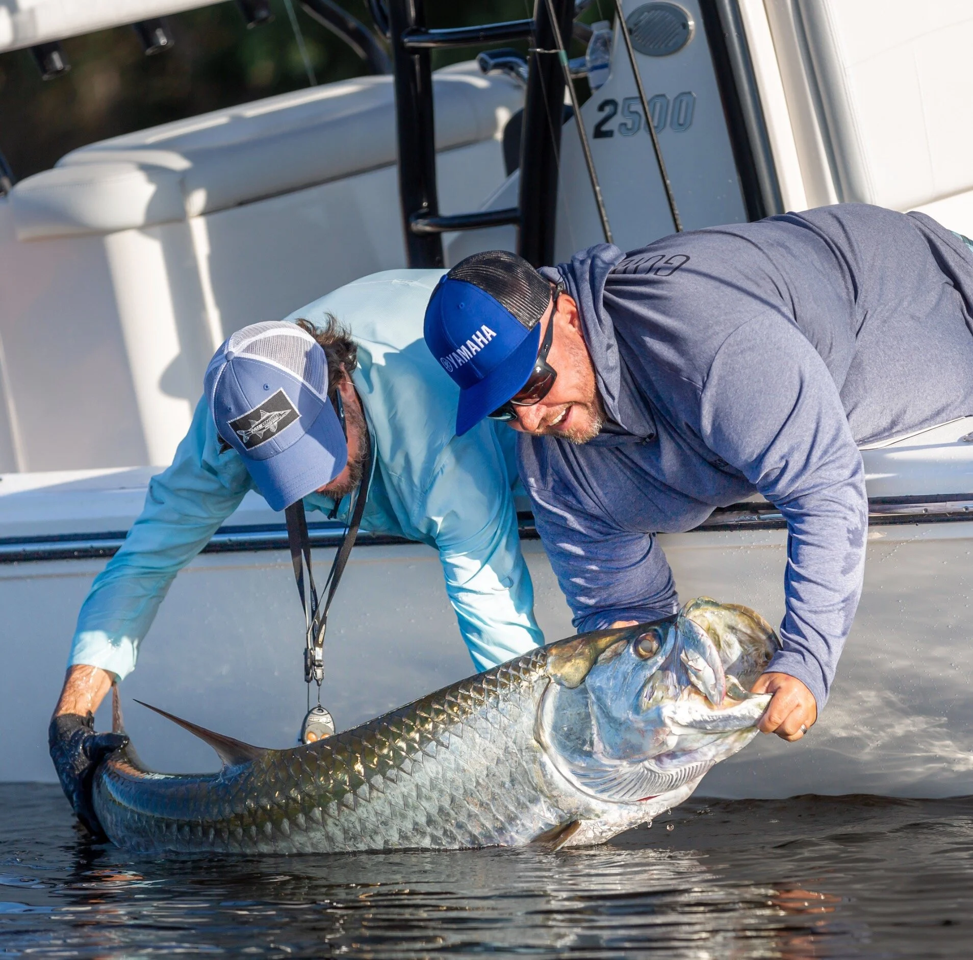 GLS2101 Golden Poon.jpeg