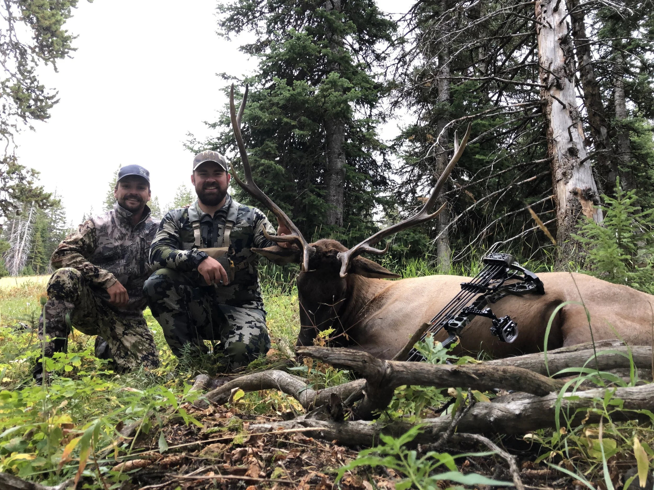 3 Common Mistakes By First Time Archery Elk Hunters