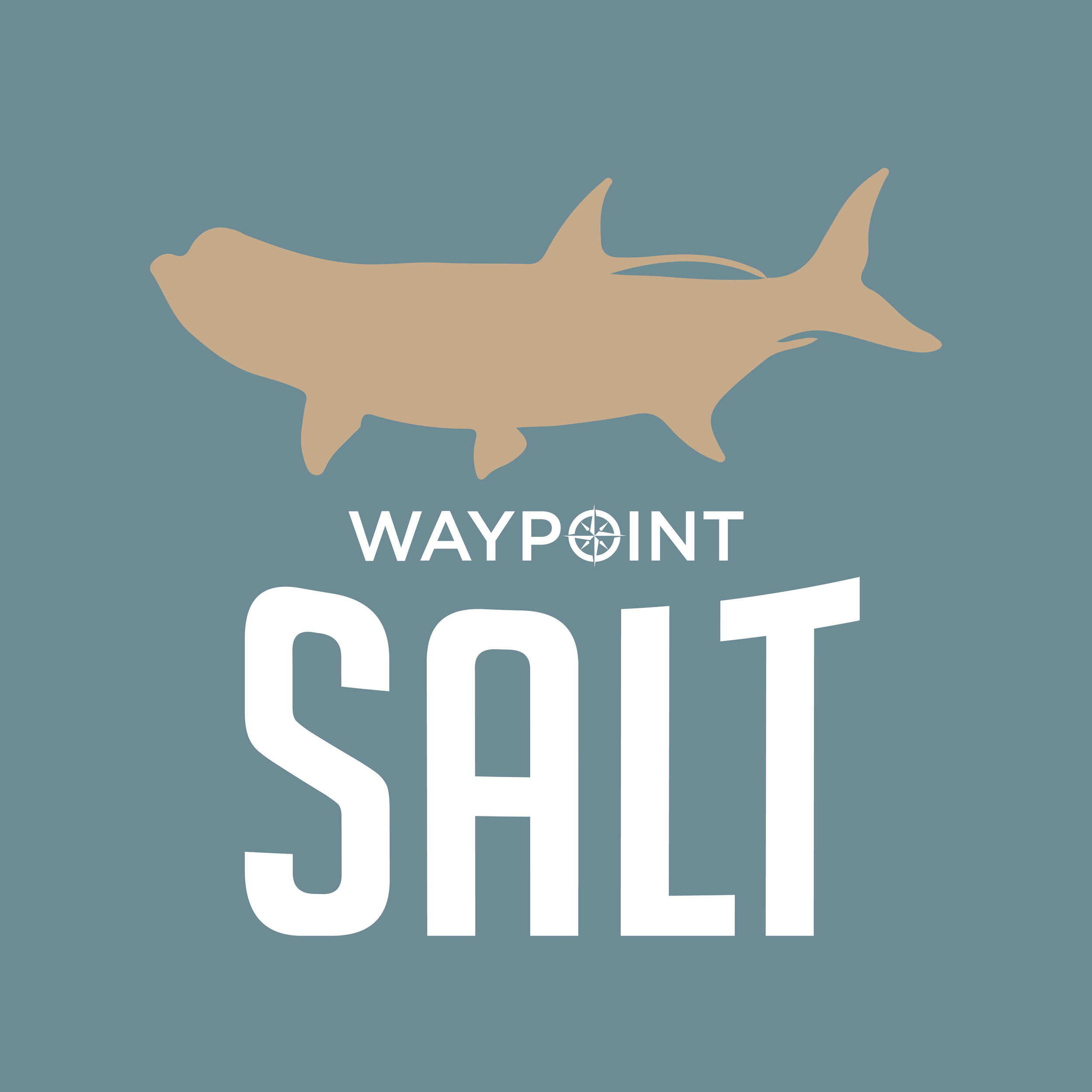 waypoint saltwater community @waypointsalt on instagram