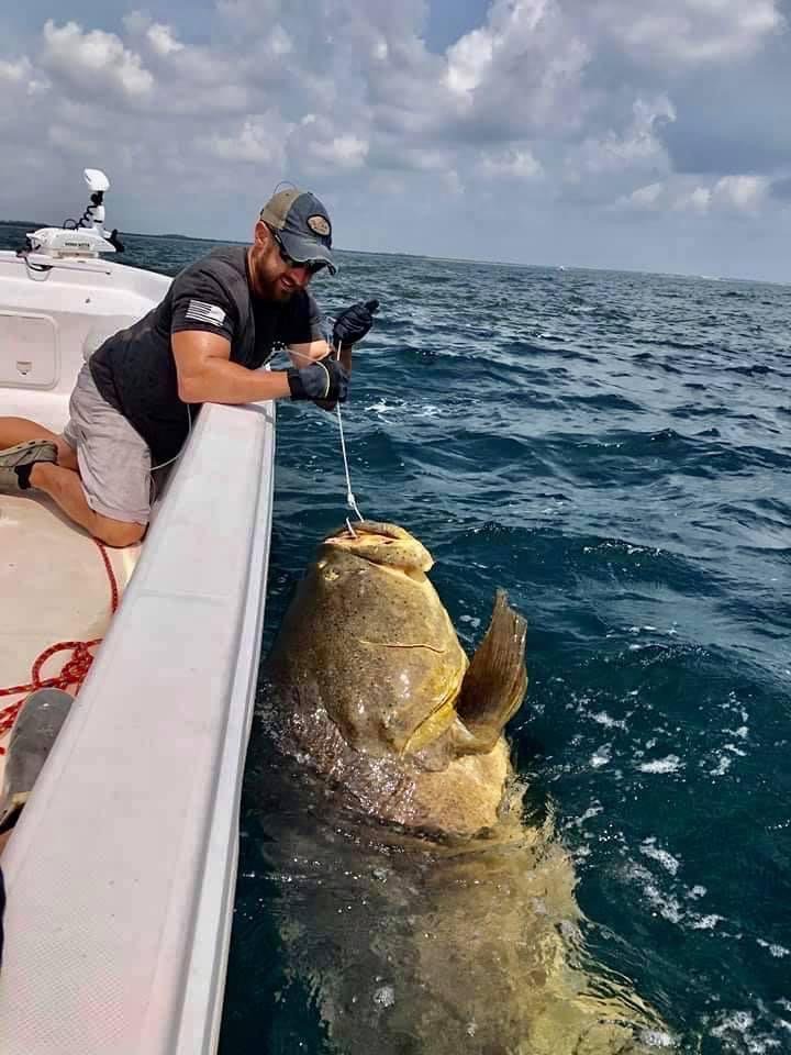 Read Beach Fishing For Goliath Grouper For Free