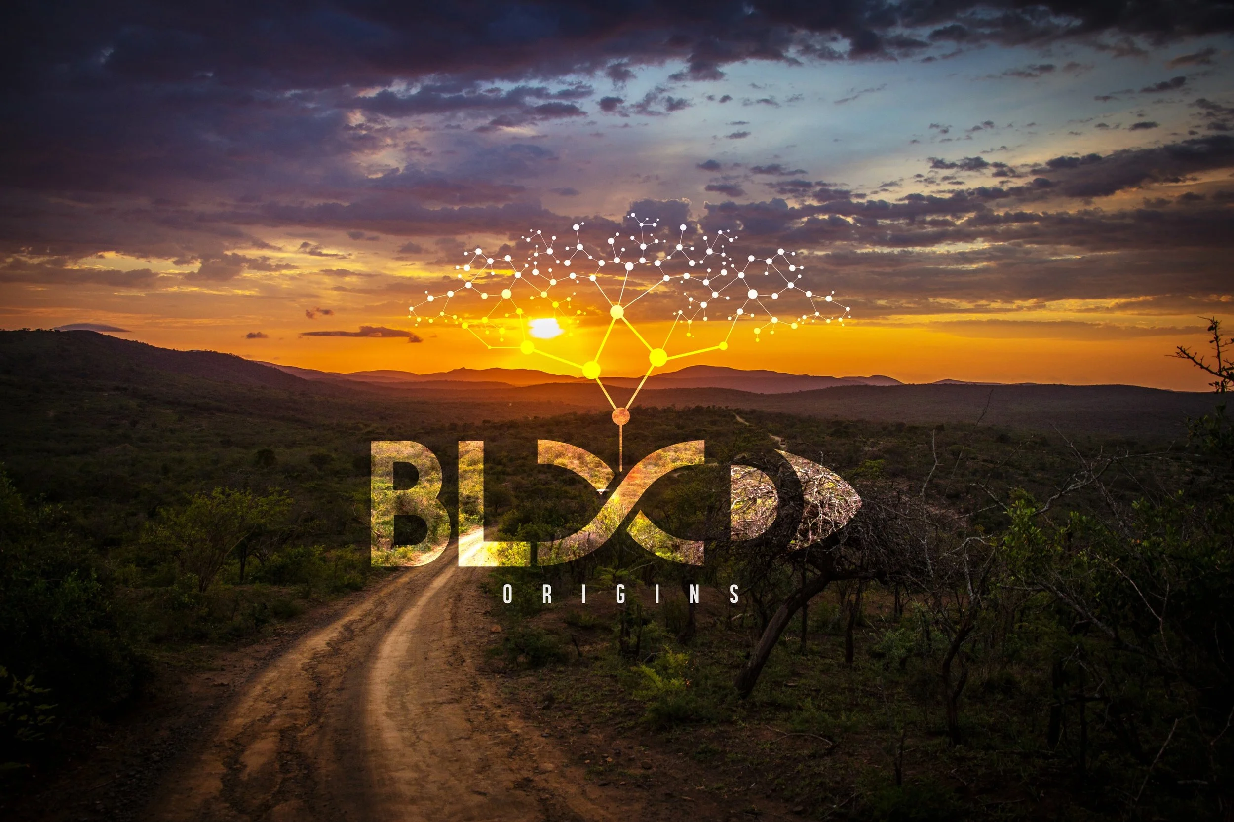 Blood Origins
